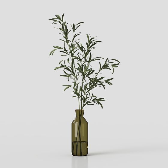 พืชในร่มคอลเลคชัน04