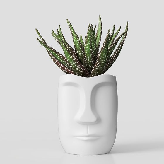 Creative Face Vase 3D model for Modern Design