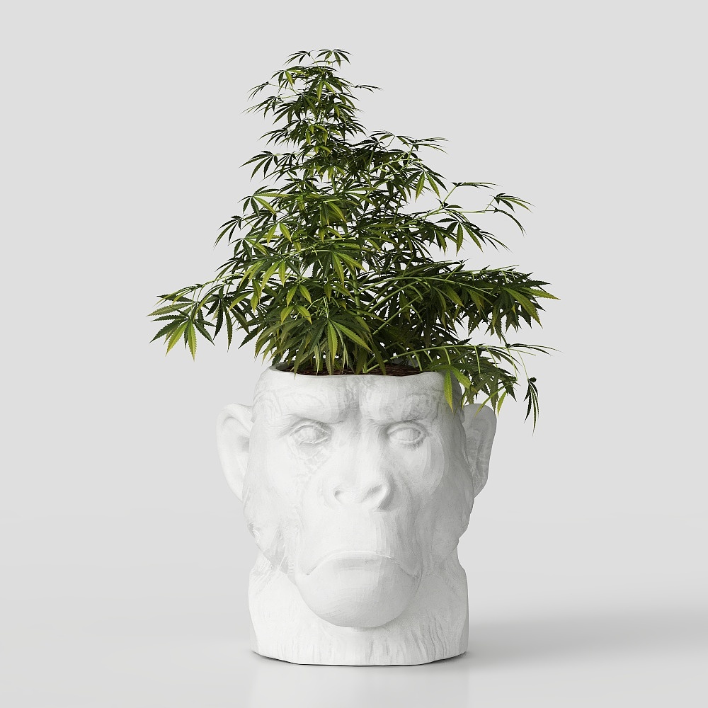 Monkey Planter 3D model for Creative Spaces