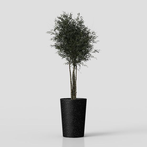 Elegant Bamboo Plant 3D Model for Creative Spaces