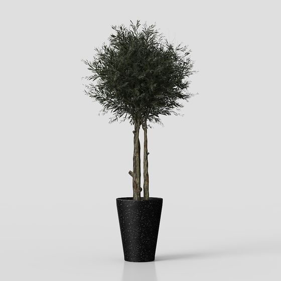 Bamboo Potted Plant Low-Poly 3D Model