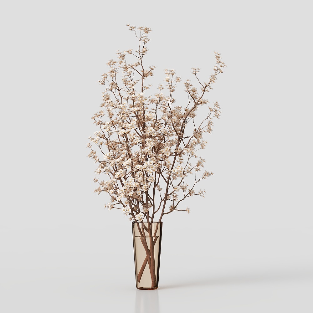 Bouquet de plantes de collection01