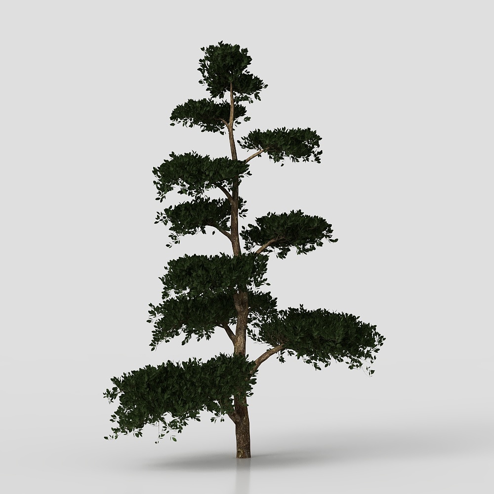 tree set
