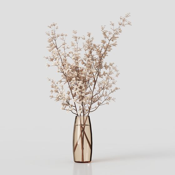 Bouquet de plantes Collaction03