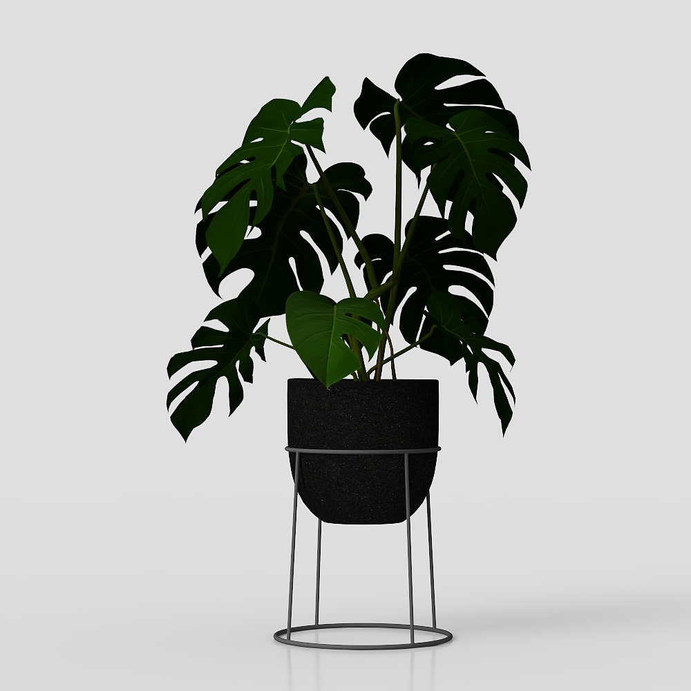 INDOOR_PLANTS01
