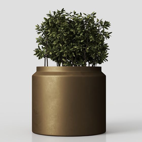 Cây trồng trong nhà 02