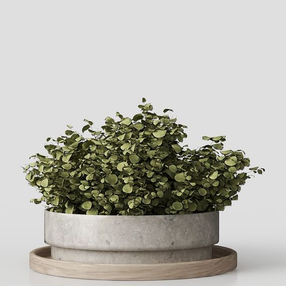 Urban Greenery 3D model for Creative Projects
