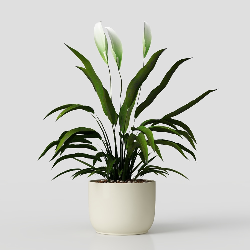 Elegant White Crane Plant 3D Model – Low-Poly Nature Asset