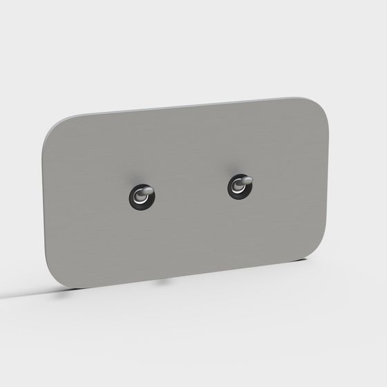 Minimalist Dual Switch Panel 3D model