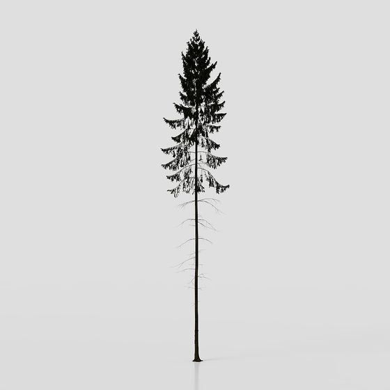 Stunning Pine Tree 3D model for Various Projects