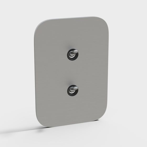 Minimalist Dual Switch Panel 3D model