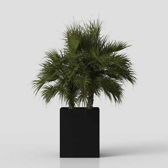 Уличное зеленое растение