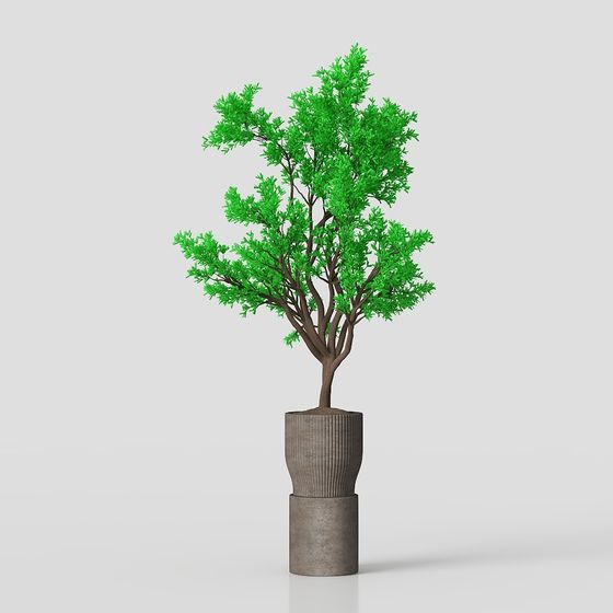 Urban Green Plant 3D model for Creative Projects