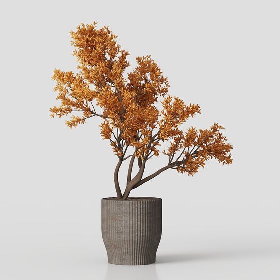 Autumn Potted Plant 3D model