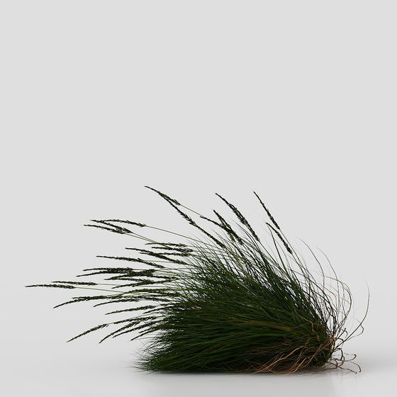 Lush Grass 3D Model for Creative Projects