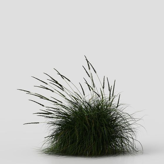 Lush Low-Poly Grass 3D Model