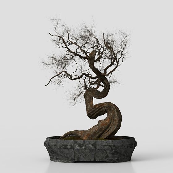 Winter Barren Tree Bonsai 3D model