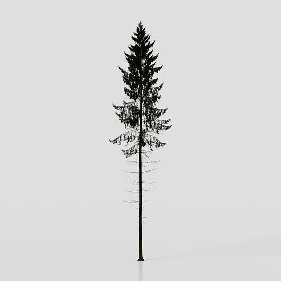 Realistic Pine Tree 3D model for Creative Projects