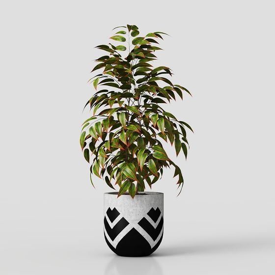 Urban Greenery 3D model for Modern Spaces