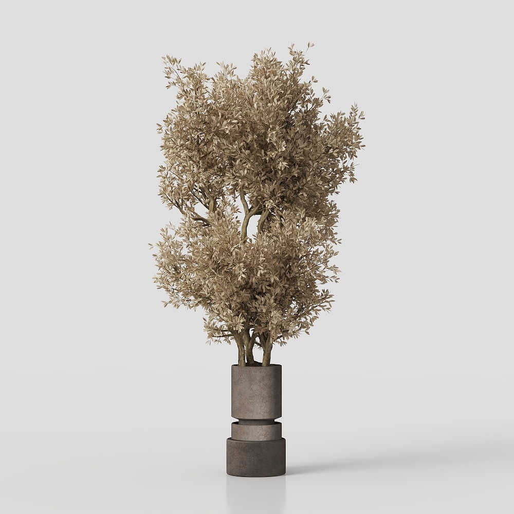 Indoor_Plant_Set_62_Dry_Plants02