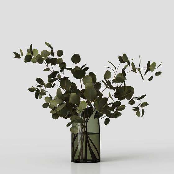 Bộ sưu tập cây trong nhà 04