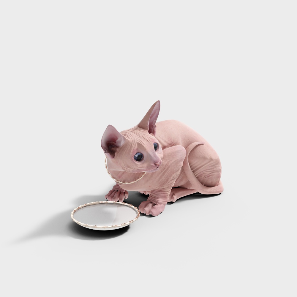 Sphynx the Curious 3D Model