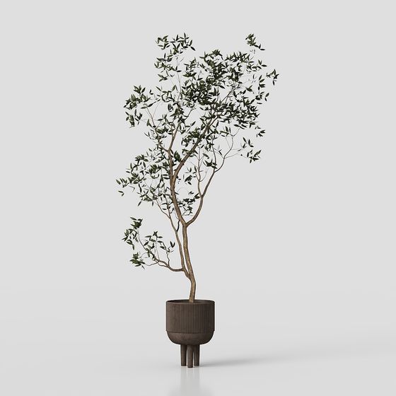 Urban Oasis Indoor Plant 3D Model for Modern Spaces