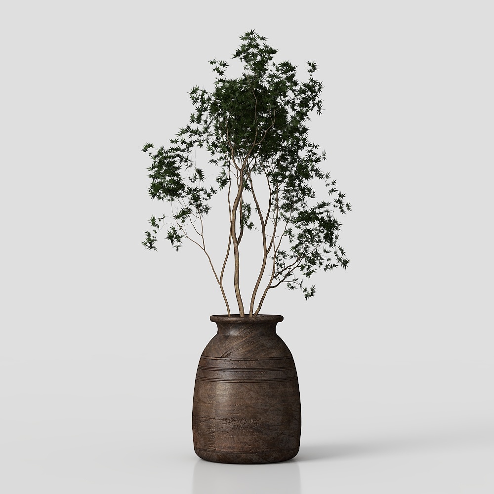 collection indoor plant