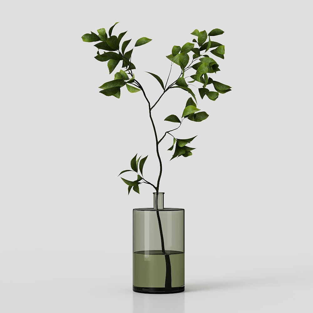 Collaction Indoor Plants02