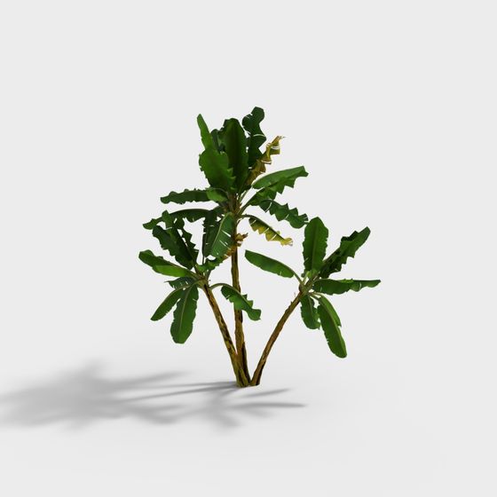 Vibrant Tropical Banana Tree 3D Model