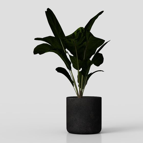 Elegant Indoor Plant Pot 3D model