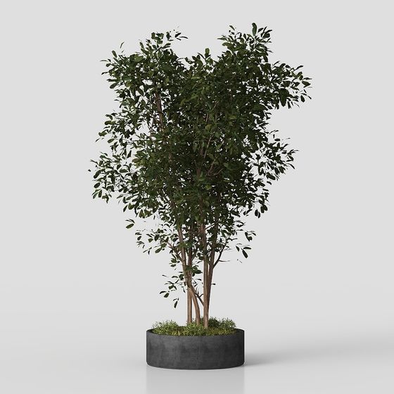 Urban Oasis Low-Poly 3D Model