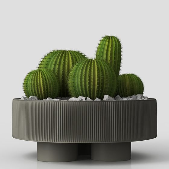 Stylish Cactus 3D model for Creative Projects