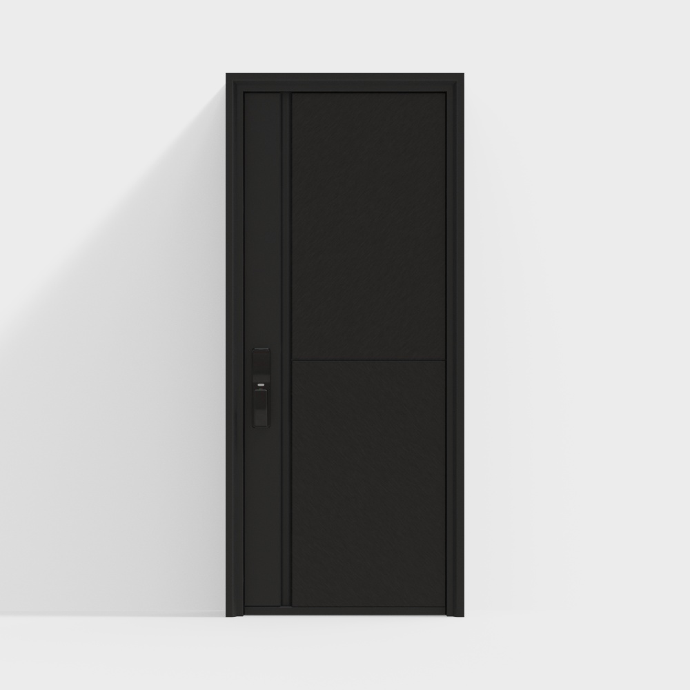 Modern single entry door