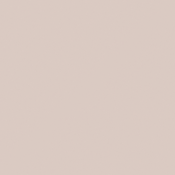 TOA-8659 Paint 3D Model for Rustic Interiors