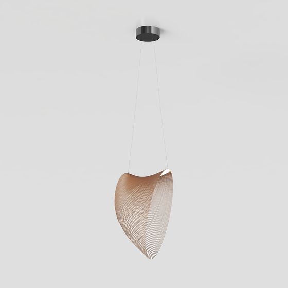 Wing in Flight 3D model