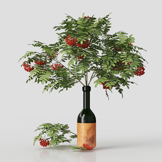 Комнатные растения и цветы