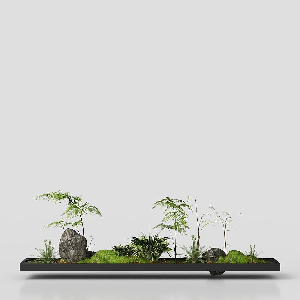 Small Landscape Green Plant 12