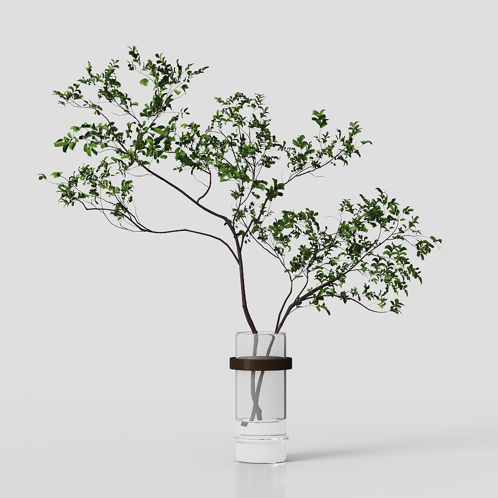 Modern Luxurious Green Plants and Flowers