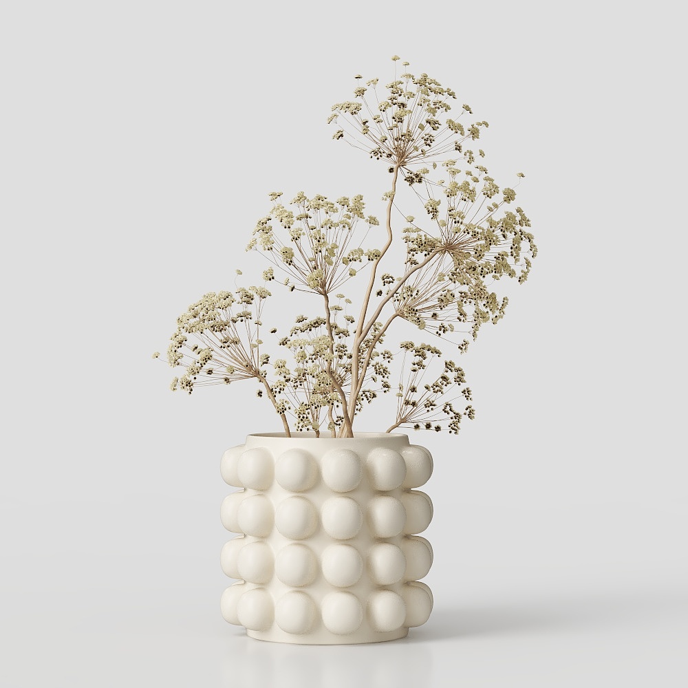 Pampas dans un pot en bulle