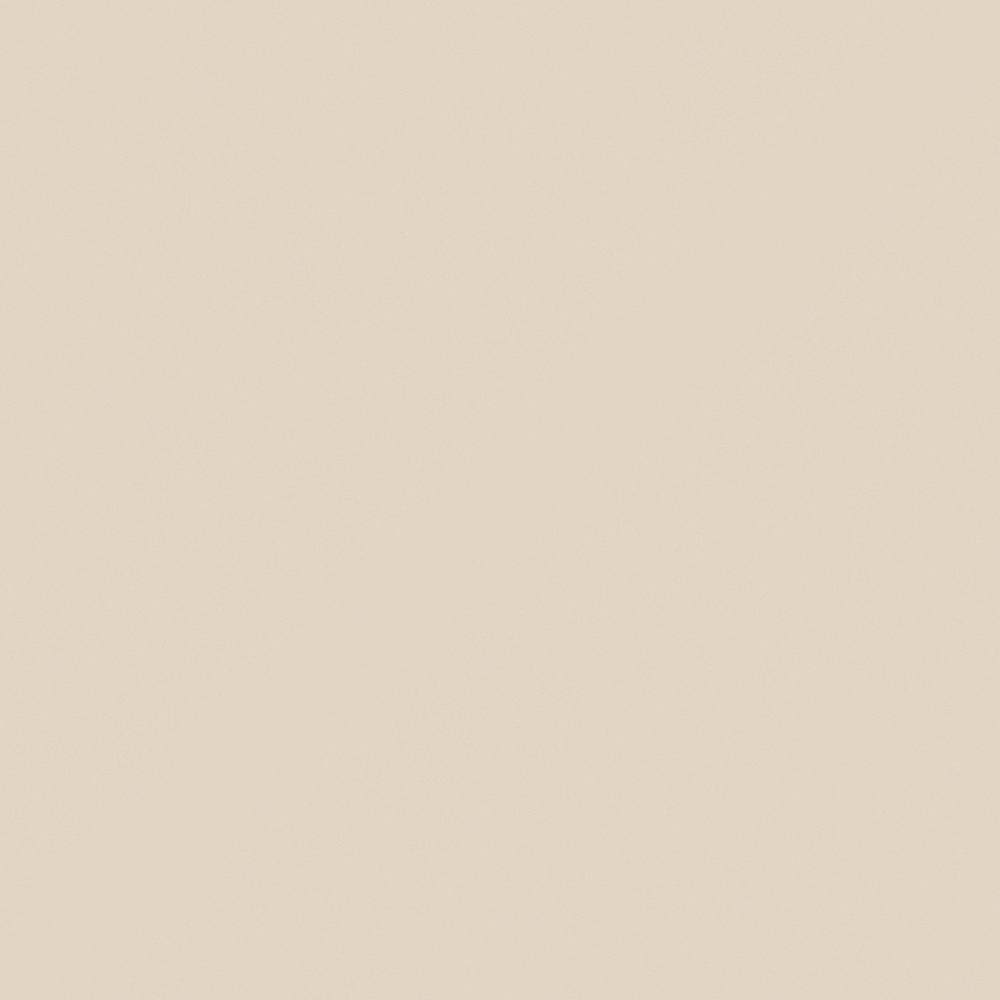 Wall Paint 3D Model for Elegant Touches