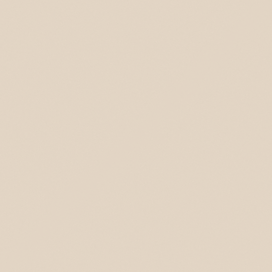Wall Paint 3D Model for Elegant Touches