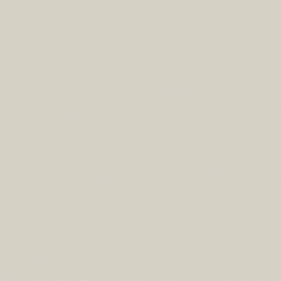 Pale-Ash Wall Paint Model