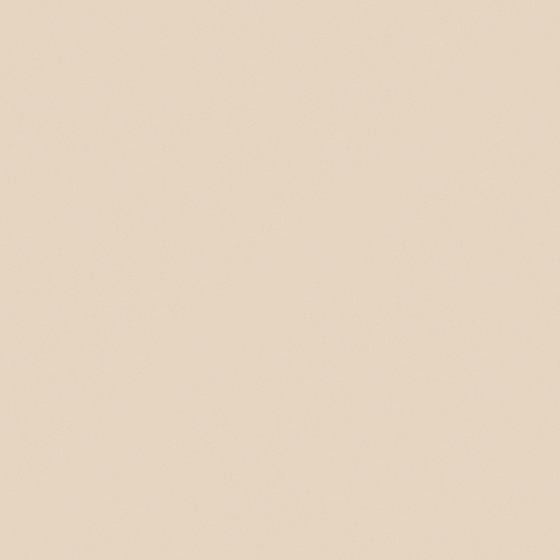 Sand Beige Egger Paint 3D Model for Wall Design