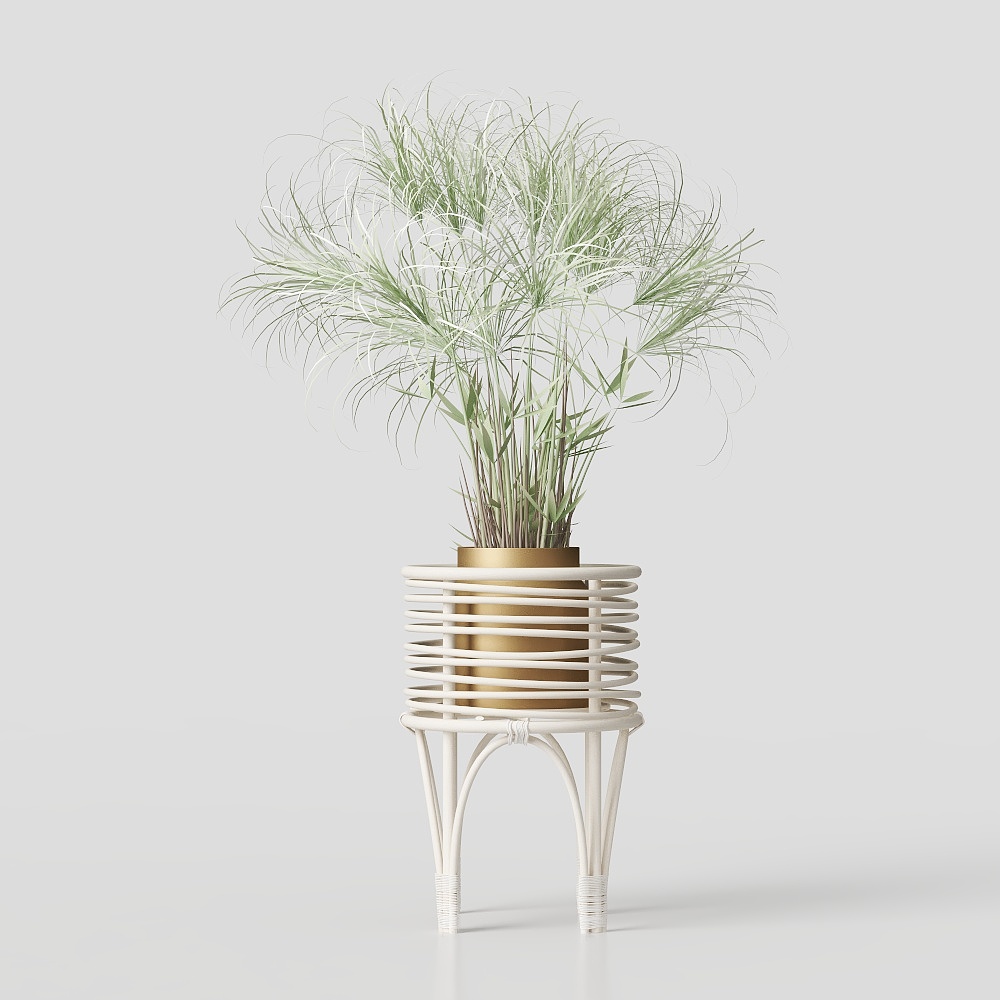 Зеленое растение украшение