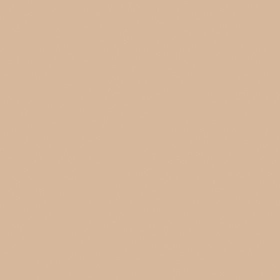 Faded Terracotta Wall Paint