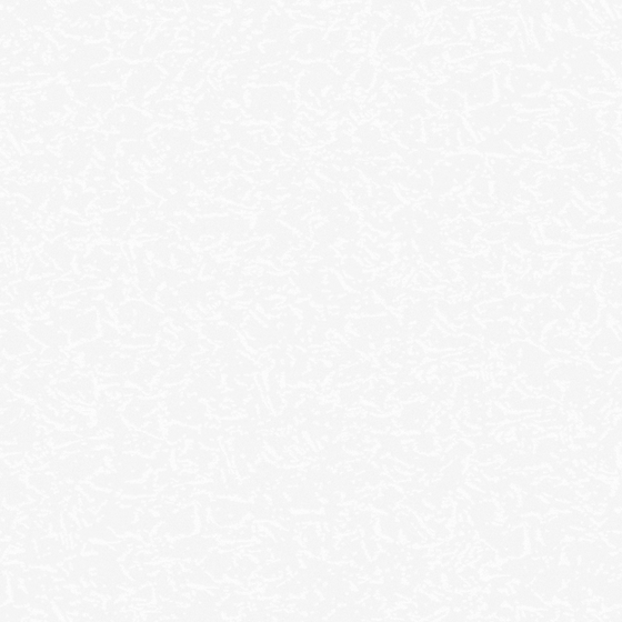 sơn tường trắng