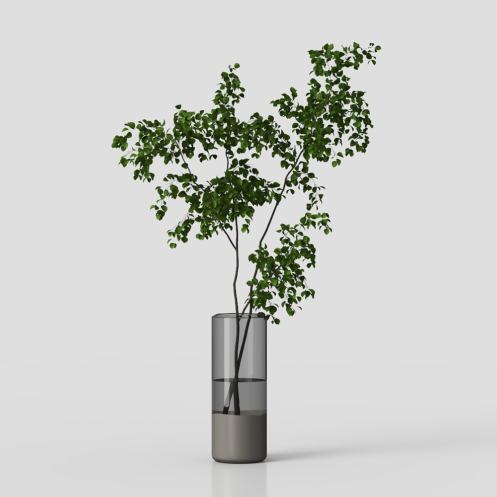 Chúc bạn khỏe - Cây 4