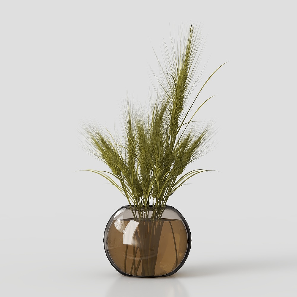 Chúc bạn khỏe - Cây 7