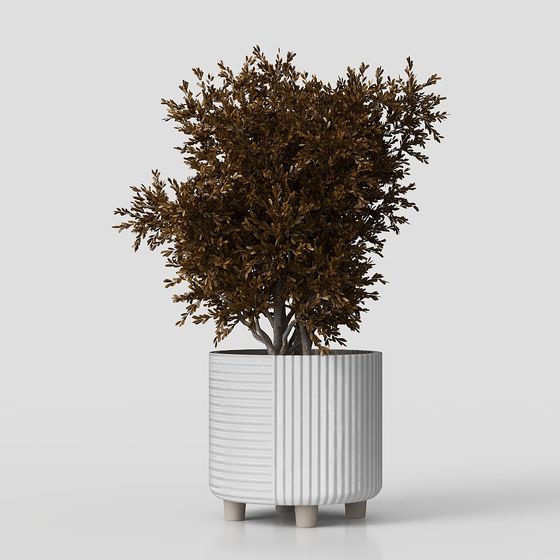 Urban Green Plant 3D model